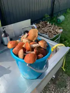 Гагарин Барн - 26