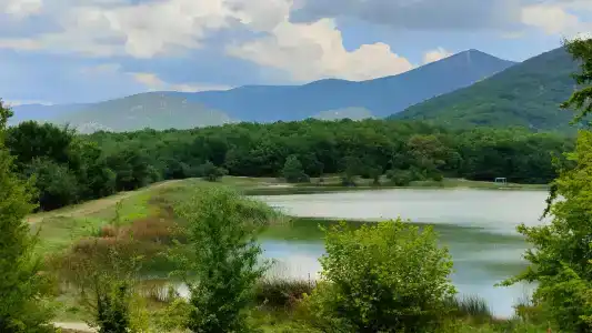 Скелепарк - 70