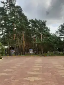 Сосновый бор - 21