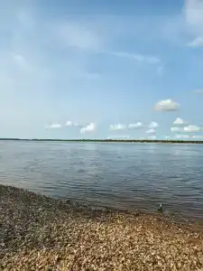 Зеленая - 14