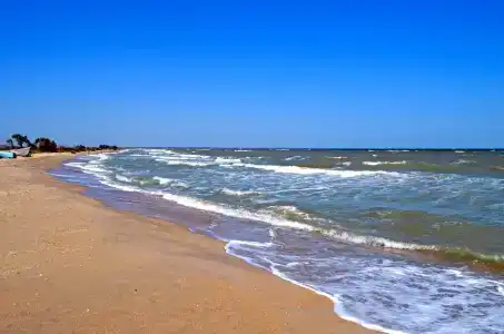 Тихая бухта - 0