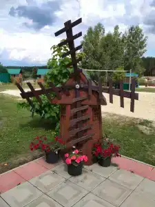 Сосновка - 18
