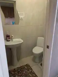 Магнолия - 62