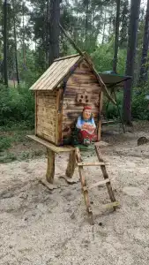 Сосновые дома - 5