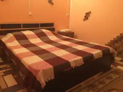 Фламинго - 55