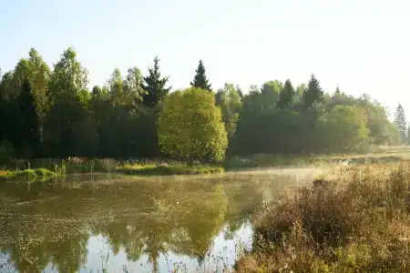 Четыре Сезона - 16