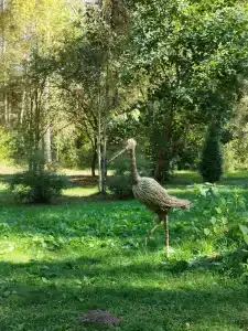 Красный Бор - 27