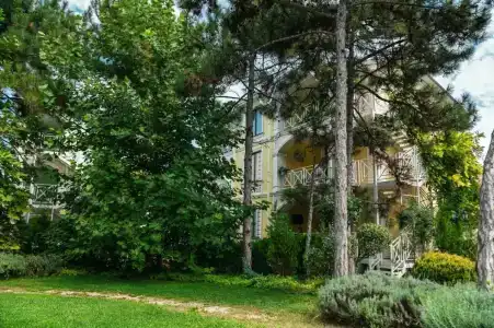 Розмарин - 1