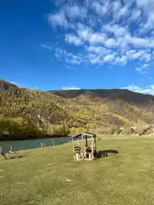 Сертпек - 10