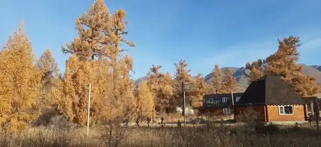 Алтынсай - 33