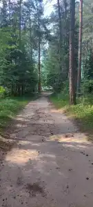 Залив - 41