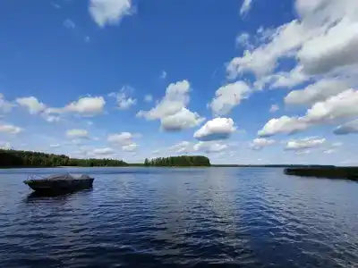 Медовец - 10