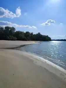 Тихая заводь - 8