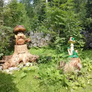 Студеный плес - 23