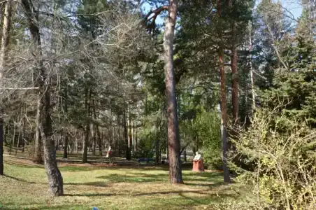 Шмаковский - 40