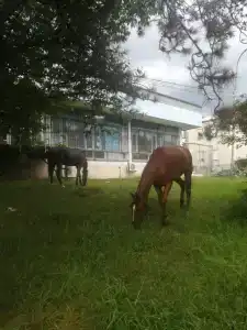 Белый парус - 58