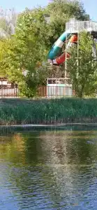 Березовые дали - 13