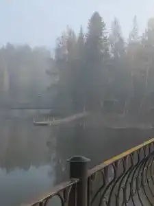Березка - 24