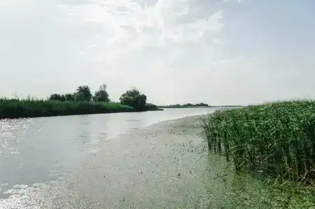 Квартет 3077 - 13