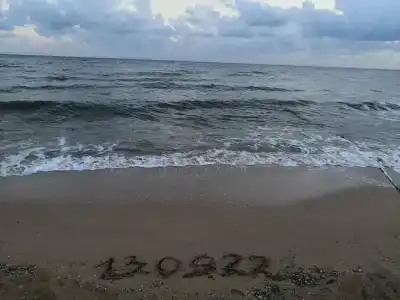 Лотос - 24