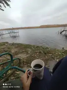 Быстрянский Лиман - 46