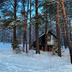 Блэк пайн - 1