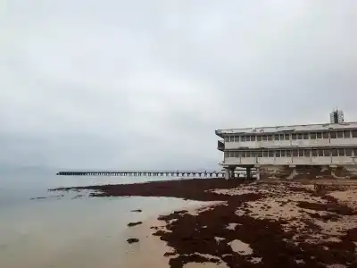 Евпаторийский детский клинический санаторий - 16