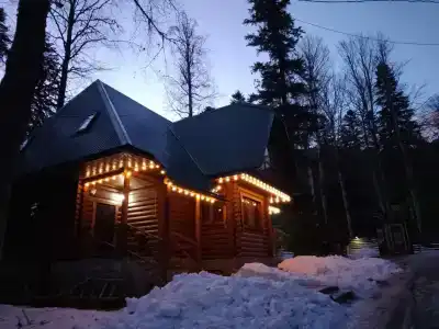 Лесной дом - 61