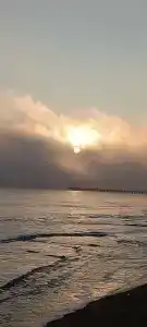 Вмс - 7