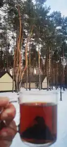 Сосновый бор - 47