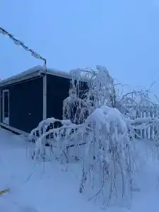 Лесной уголок - 37