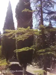 Пансионат Алмаз - 64