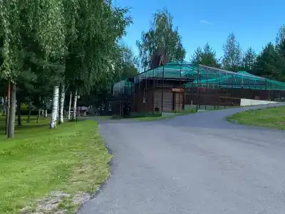 Черные камни - 84