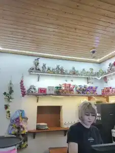 Путник - 31