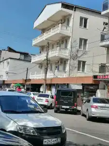 Азалия - 1