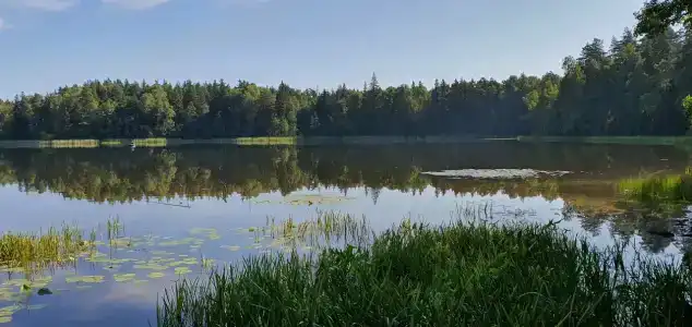 Поляна сказок - 5