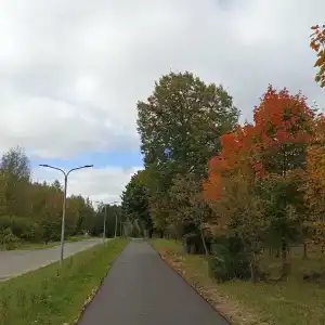 Огниково - 35