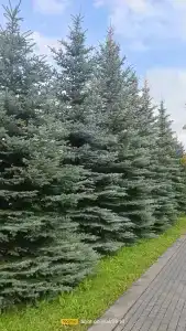 Восход - 32