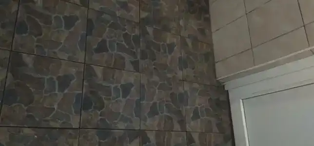 Сокол - 18