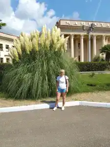 Мацеста - 60