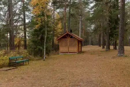 Омчино - Белая дача - 15