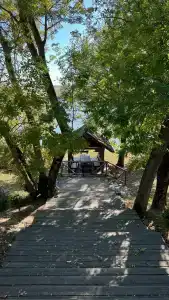 Liva Villa - 15
