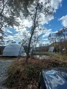 Граф Потоцкий - 41