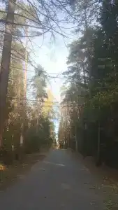 Звездочка - 32