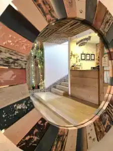 Три кота - 24