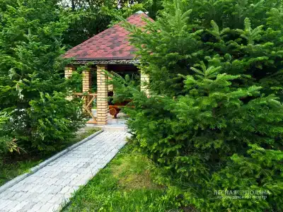 Лесная поляна - 3