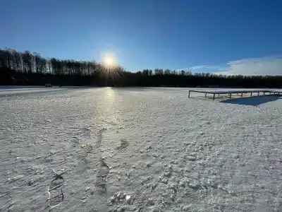 Веселый Роджер - 22