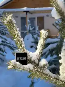 Introvert House - 27