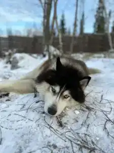Сияние - 1