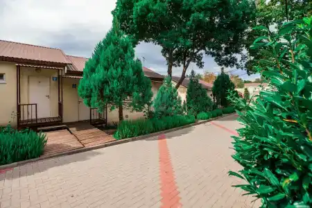 Лазурный - 40